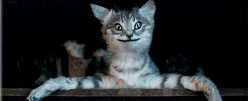 CRAP TAXIDERMY: When Getting Stuffed Goes Very Wrong – Book Review