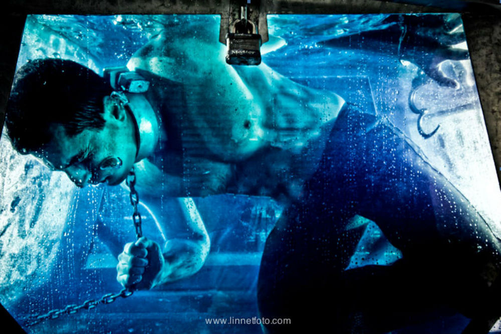 Psyche - Pheonix - Adelaide Fringe 2015 - The Clothesline
