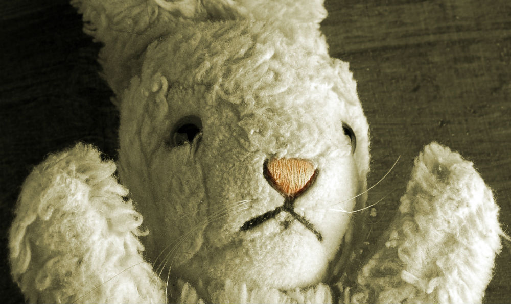 White Rabbit Red Rabbit - Image by Hilde Vanstaelen - Adelaide Fringe 2015 - The Clothesline