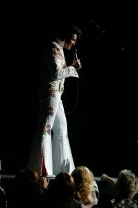 Elvis To The Max - The King In Concert - The Clothesline