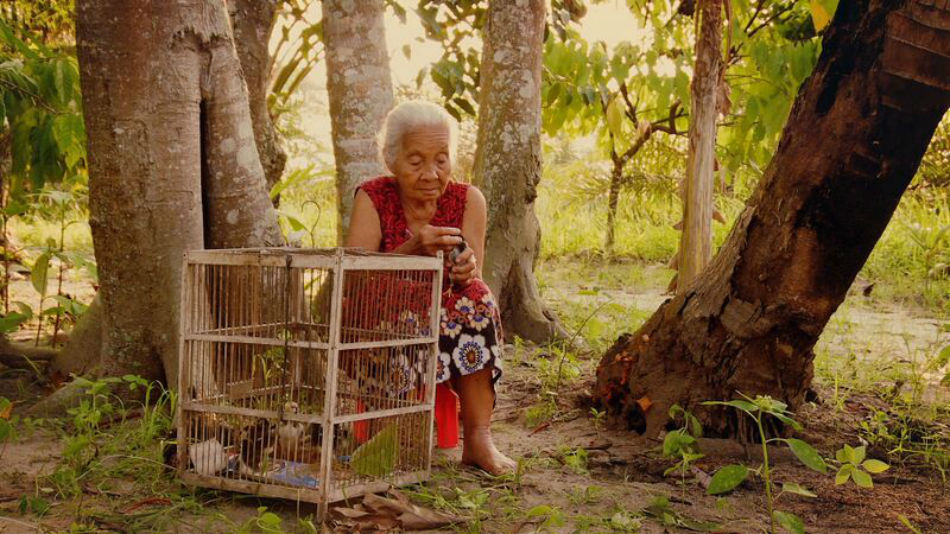 Joshua Oppenheimer - The Look Of Silence - OzAsia - The Clothesline