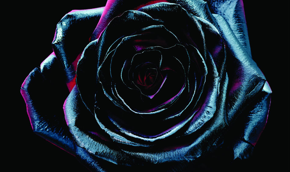 Reece Mastin - Change Colours Header - Social Family Records - The Clothesline