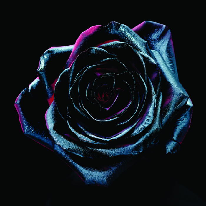 Reece Mastin - Change Colours - Social Family Records - The Clothesline