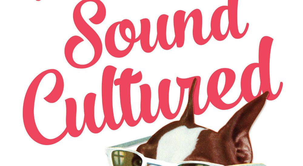 How To Sound Cultured Header - Hodgkinson & van der Bergh - Icon - The Clothesline