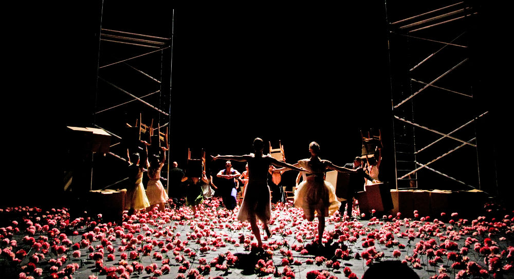 Nelken - Image by Oliver Look - Adelaide Festival of Arts - The Clothesline