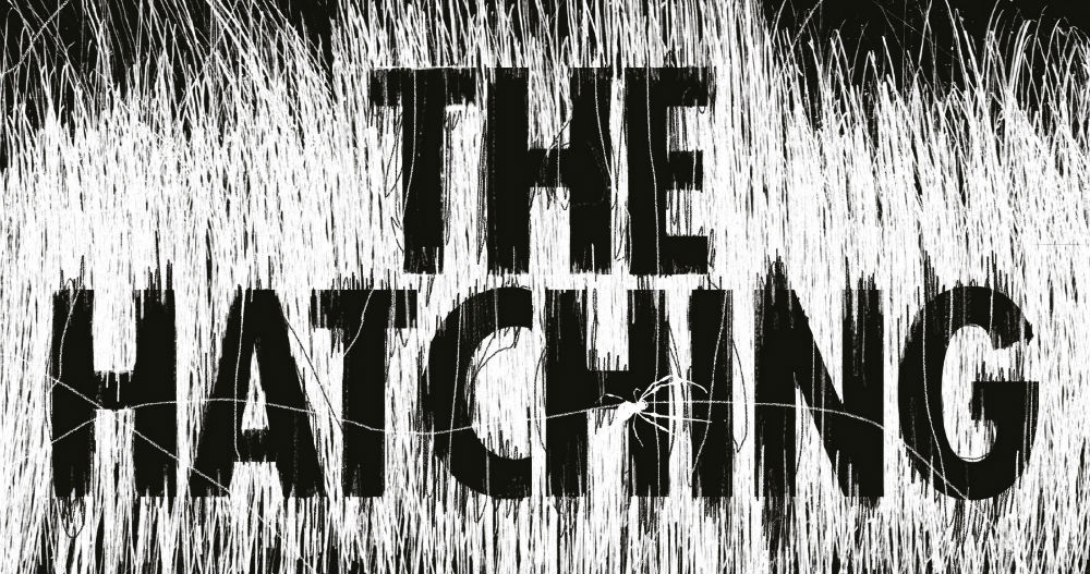 The Hatching header - Ezekiel Boone - Hachette - The Clothesline