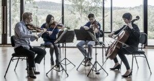 Aust String Quartet at Ngeringa Cultural Centre - Image by Jacqui Way - #AdCabFest - The Clothesline