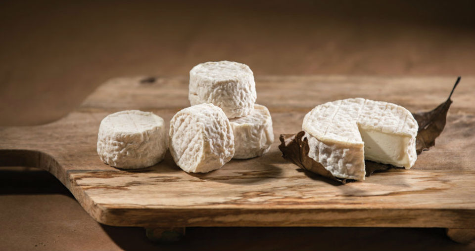 French Cheese and French Wine Masterclass: Fun, Food & Wine Courtesy of Valerie Henbest and The Smelly Cheese Shop – Adelaide French Festival Review
