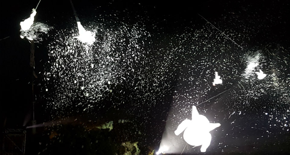 WOMADelaide 2018 – Day 1: A Day In Another World – World Music Festival Review