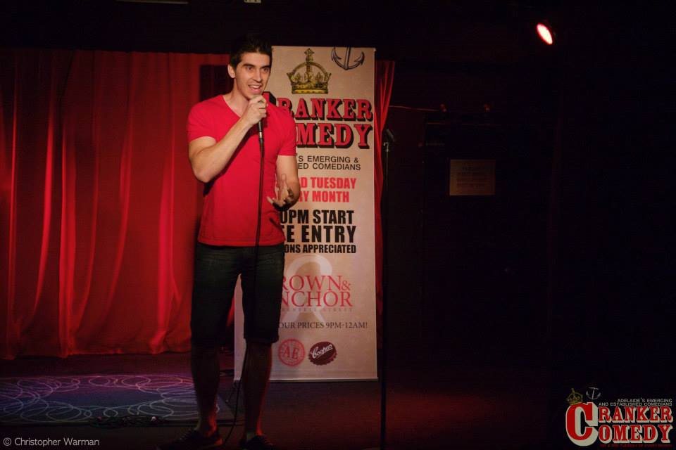performer, comedian, puns