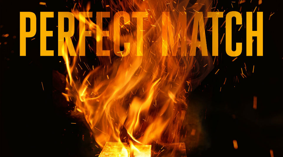 PERFECT MATCH by D.B. Thorne: On The Face Of It ~ Book Review