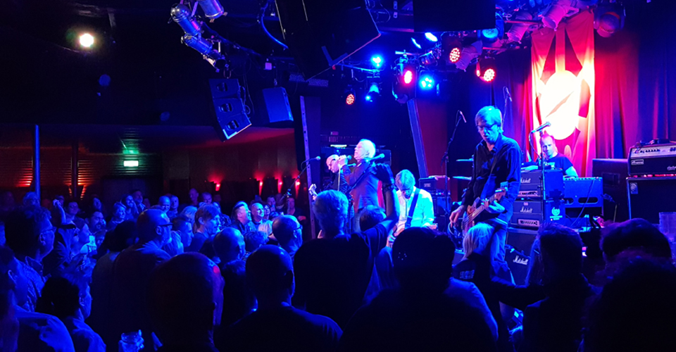 Radio Birdman 2018 - photo by David Robinson - The Clothesline