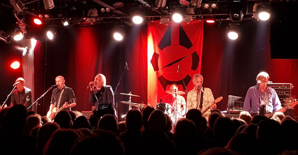 Radio Birdman 2019 - photo by David Robinson - The Clothesline