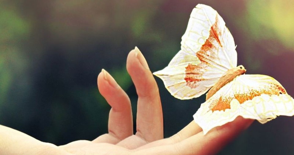 A Butterfly Effect: Come Witness Something Refreshingly Different ~ Adelaide Fringe 2020 Review