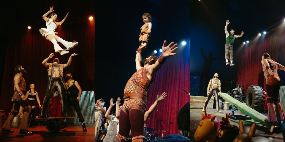 circus acts
