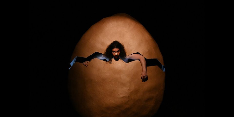 man in egg