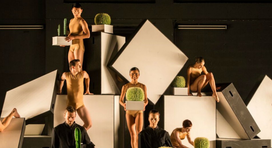 Sydney Dance Company Novo - Cacti - Image by Peter Greig - The Clothesline