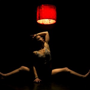 Driftwood sm- ADLfringe - The Clothesline