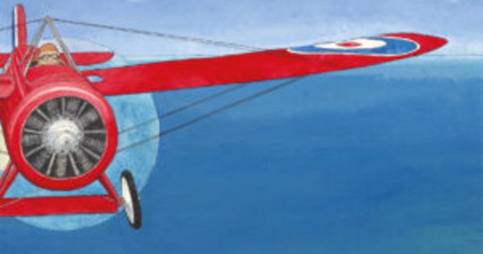 BORN TO FLY by Beverley McWillams & Timothy Ide: Harry Butler Was Born To Fly ~ Book Review