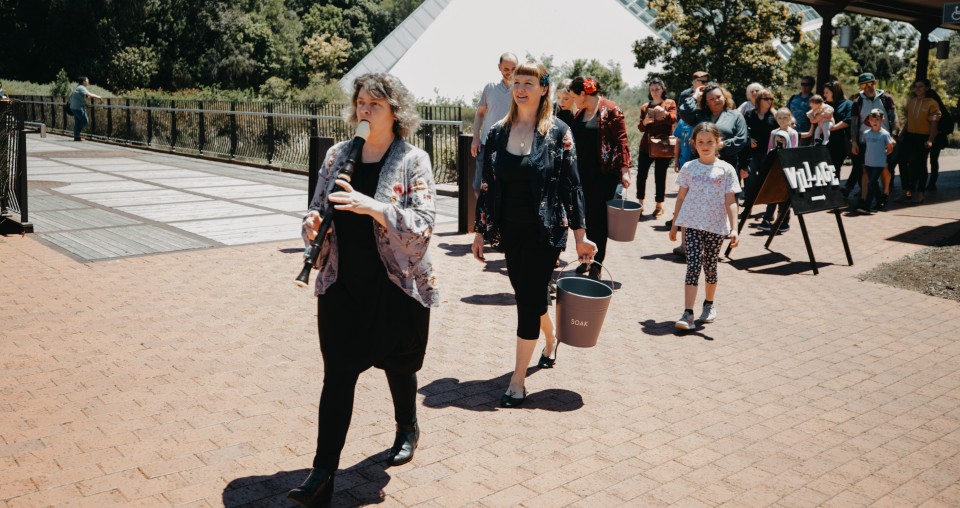 Return To The Village - Image by Jordan Bell - Adelaide Botanic Garden - The Clothesline