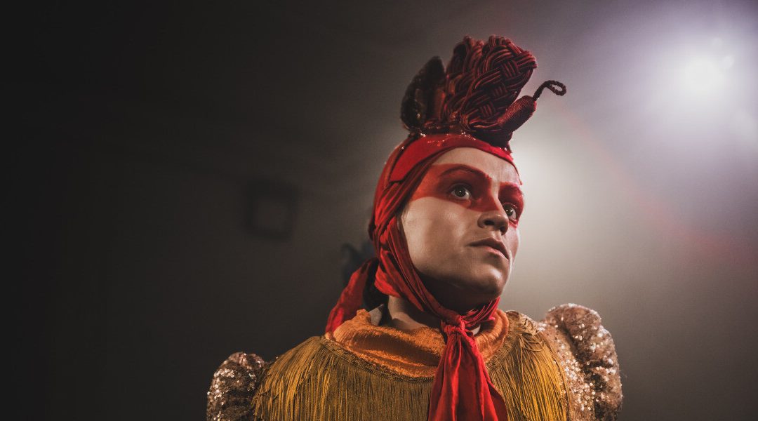 Chicken: It’s A Poultry Life ~ Adelaide Fringe 2025 Review